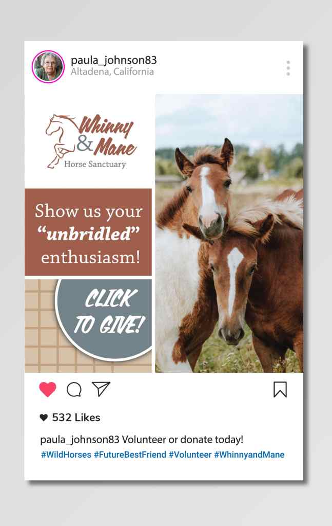 Instagram stories ad for Whinny & Mane Horse Sanctuary.